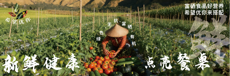灯箱设计 16