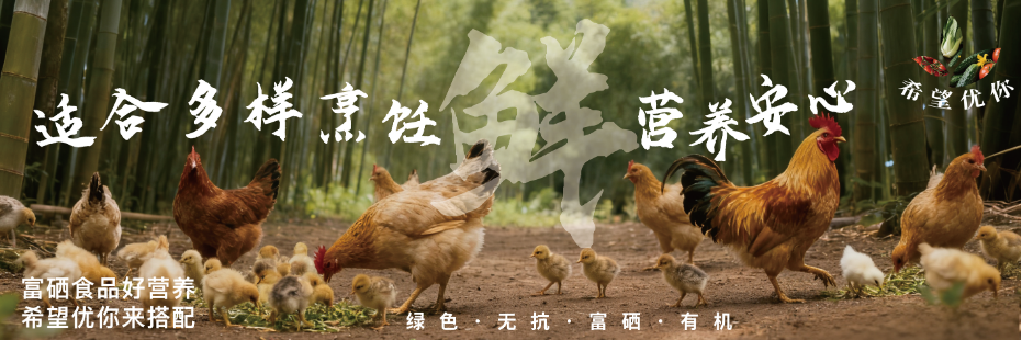 灯箱设计 19
