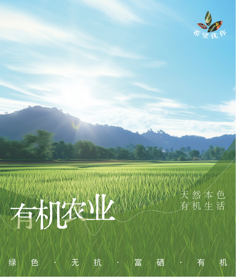 海报设计 20