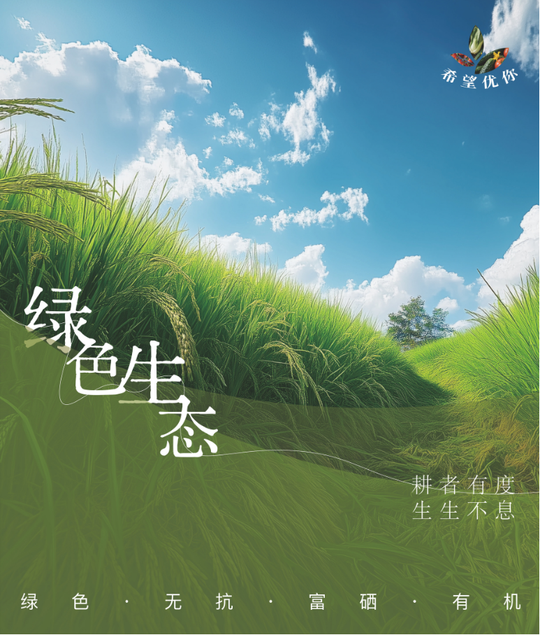 海报设计 21