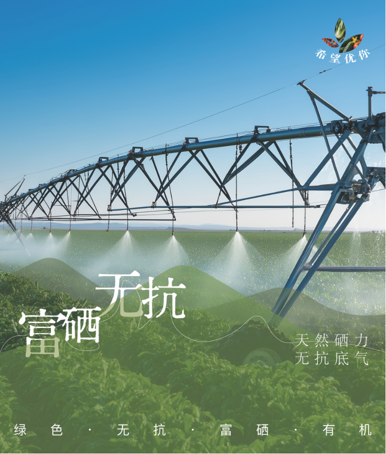 海报设计 22